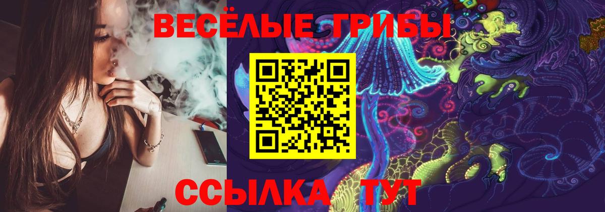 Междуреченск  Псилоцибиновые грибы Psilocybine cubensis  Вход с VPN 